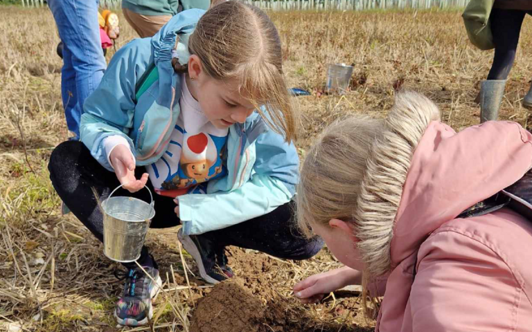 Children digging up soil to search for creatures.