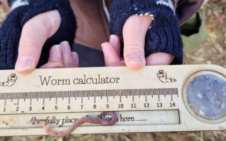 A child holding a worm calculator. There's a worm wiggling along the bottom.